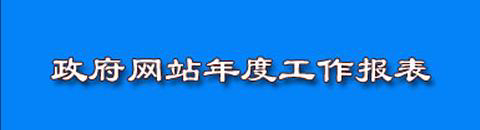 政府網站年度工作報表