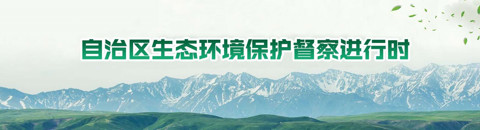 自治區生態環境保護督察進行時